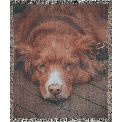 Lazy Days Dog Portrait  -100% Cotton Jacquard Woven Throw Blanket